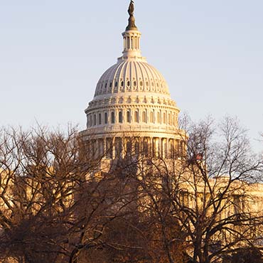Shutterstock image: the capitol in the afternoon sun.