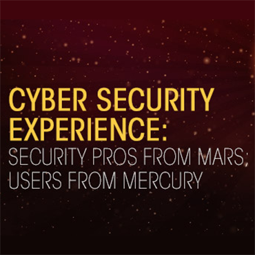 cyber security experience report