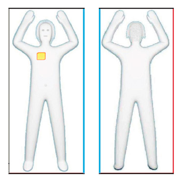 TSA Scanner sample image